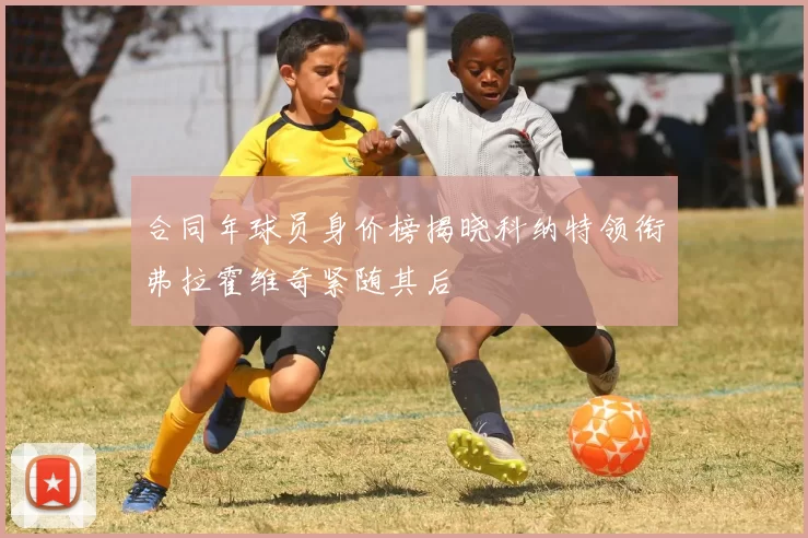 合同年球员身价榜揭晓科纳特领衔弗拉霍维奇紧随其后