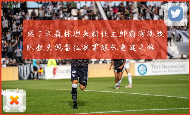 诺丁汉森林迎来新任主帅前海港狼队教头佩雷拉执掌球队重建之路